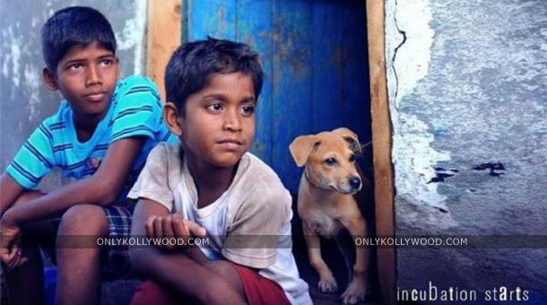 kaaka muttai copy