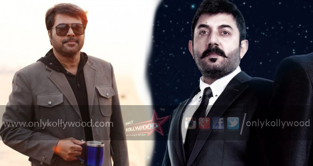 Arvind Swami to reprise Mammootty's role in Bhaskar The Rascal remake